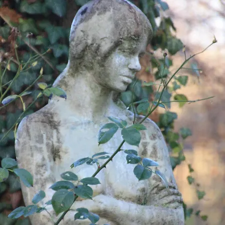 Wohlfuehloase Fuer Und Gartenliebhaber Walkenried