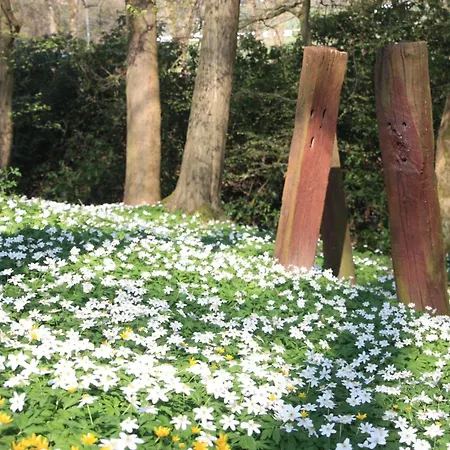 Apartment Wohlfuehloase Fuer Und Gartenliebhaber *