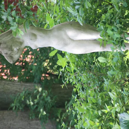 Wohlfuehloase Fuer Und Gartenliebhaber *
